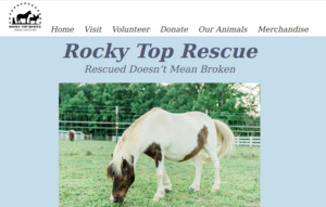 Click to go to RockyTopRescue.com